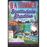 Scottsdale Shadow: a fun, romantic, thrilling, adventure...