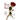 Thorns on the Rose
