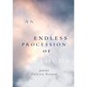 An Endless Procession of Clouds