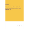 Arnica, Calendula, Cantharides, Ledum, Ruta, and Rhus Tox as External Remedies in Cases of Accident, etc.