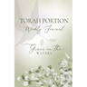 Torah Portion Weekly Journal: Grace on the Waters