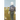 Ghost Boy