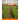 Companion Planting: Vegetable gardening guide for keeping ypur organic garden healthy like an expert. Create your edible landscape of a fe