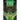 Emerald Eyes