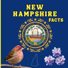 New Hampshire Facts: Interesting Facts About New Hampshire
