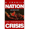 Fragile Nation, A-The Indonesian Crisis