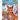 Derek The Dingo Meets The Spotted Quoll