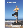 The chakra system: The energy vortexes within