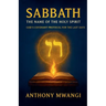 Sabbath: The Name of the Holy Spirit - God's Covenant Protocol for the Last Days