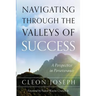 Navigating Through The Valleys Of Success: A Perspective In Perseverance
