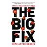 The Big Fix: Hope After Heroin