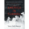 America in Turmoil: Essays on Politics, the Economy, Society, and the Future