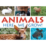 Animals!: Here We Grow