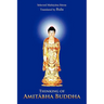Thinking of Amit Bha Buddha