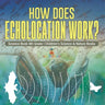 How Does Echolocation Work? Science Book 4th Grade Children's Science & Nature Books