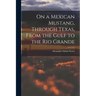 On a Mexican Mustang, Through Texas, From the Gulf to the Rio Grande