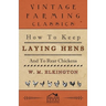 How to Keep Laying Hens and to Rear Chickens