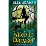 Witch in Danger