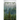 Evergreen eyes