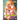Nakamura-San, the Uninvited Gyaru Vol. 5