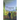 Fugue