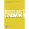 Handbook on Impact Evaluation: Quantitative Methods and Practices