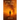 Born From Fire: The Life of a Man Who Should Not Have Survived