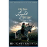 Saga of the Light Striper: The Reframing of a New World, Volume 2