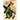 Black Mass