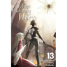 A Most Unlikely Hero, Volume 13 (Light Novel)