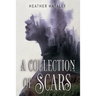 A Collection of Scars
