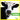 Cows