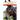 The Book of Donkeys: A Guide to Selecting, Caring, and Training