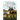Adventures of the Horse Doctor's Husband 3