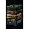 Notes from Underground: The Hollow Earth Story Cycle