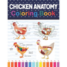 Chicken Anatomy Coloring Book: Chicken Anatomy and Veterinary Physiology Coloring Book. The New Surprising Magnificent Learning Structure For Veterin