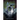 Novus