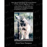 Lobo, Rag and Vixen Being The Personal Histories Of Lobo, Redruff, Raggylug and Vixen