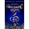 We Meet Again: An epic reincarnation mystery about a famous couple reunited to change the world.