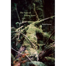The Time of Falling Apart: Poems