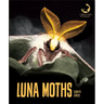 Luna Moths
