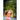 The Girl She Left Behind
