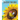 ZeeZee the Bee: A Tale of a Magical Friendship