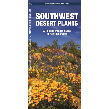 Southwestern Desert Plants: An Introduction to Familiar Species