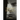 Silenced Whispers