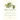 Metazoa: Animal Life and the Birth of the Mind