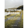 Journey through Romans: Supplements for a Healthy, Spiritual Immune System