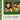 A Tulip in Winter: A Story about Folk Artist Maud Lewis