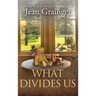 What Divides Us: The Kilteegan Bridge Story - Book 2
