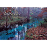 Ichetucknee: Sacred Waters